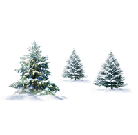 · 21 de diciembre de 2025 · Hemisferio Norte · Solsticio de invierno ·