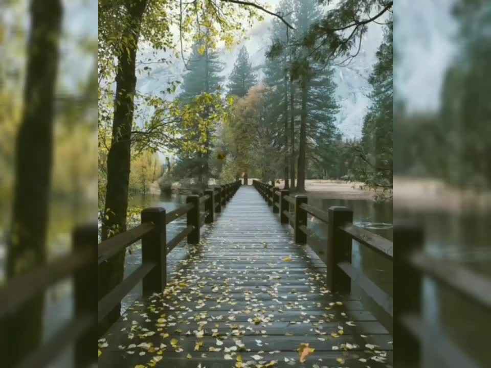 · 26 de septiembre de 2026 · Hemisferio Norte · Equinoccio de Otoño ·