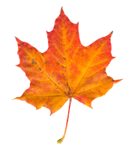 · 20 de marzo de 2026 · Hemisferio Sur · Inicio del Otoño en el Hemisferio Sur ·