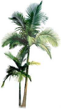 · Solsticio de diciembre · Inicio del Verano en el Hemisferio Sur ·