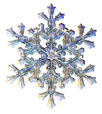 · 21 de diciembre de 2025 · Hemisferio Norte · Solsticio de invierno ·